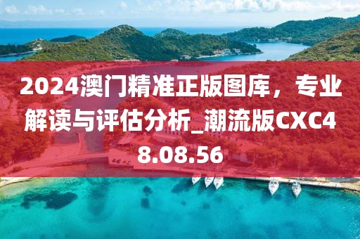 2024澳門精準正版圖庫，專業(yè)解讀與評估分析_潮流版CXC48.08.56