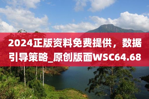 2024正版資料免費(fèi)提供，數(shù)據(jù)引導(dǎo)策略_原創(chuàng)版面WSC64.68