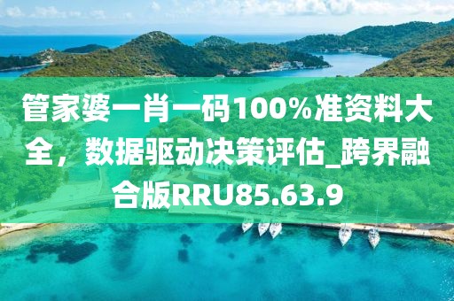 管家婆一肖一碼100%準資料大全，數(shù)據(jù)驅動決策評估_跨界融合版RRU85.63.9