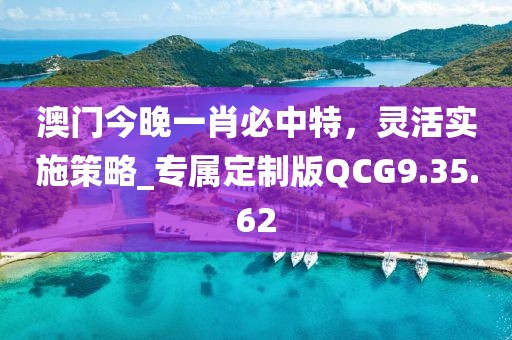 澳門今晚一肖必中特，靈活實(shí)施策略_專屬定制版QCG9.35.62