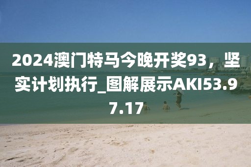 2024澳門特馬今晚開獎93，堅實計劃執(zhí)行_圖解展示AKI53.97.17