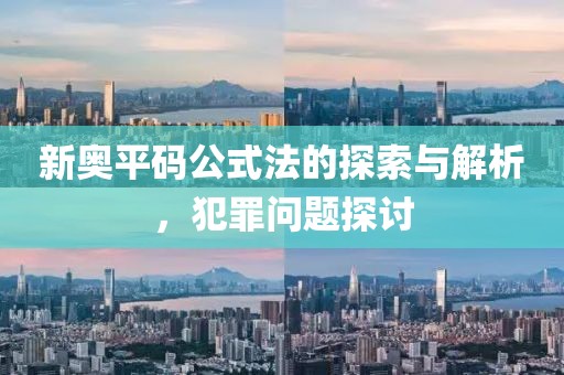 新奧平碼公式法的探索與解析，犯罪問題探討