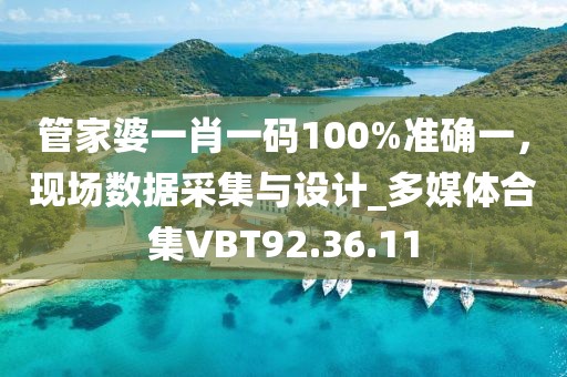 管家婆一肖一碼100%準確一，現場數據采集與設計_多媒體合集VBT92.36.11