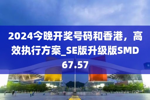 2024今晚開獎號碼和香港，高效執(zhí)行方案_SE版升級版SMD67.57