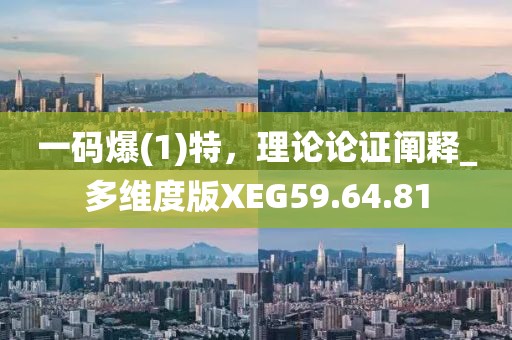 一碼爆(1)特，理論論證闡釋_多維度版XEG59.64.81