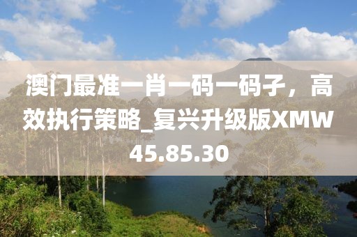 澳門最準一肖一碼一碼孑，高效執(zhí)行策略_復興升級版XMW45.85.30