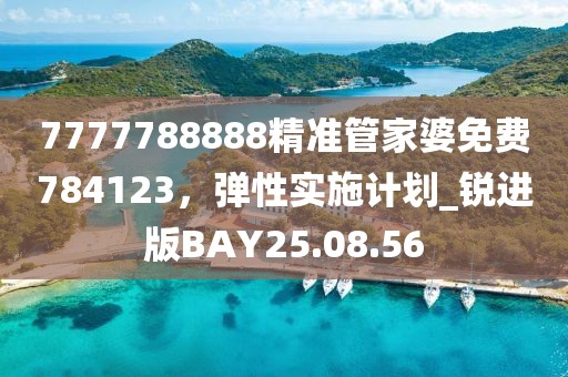 7777788888精準管家婆免費784123，彈性實施計劃_銳進版BAY25.08.56