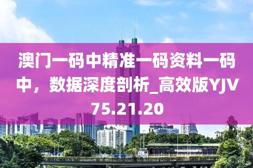 澳門一碼中精準(zhǔn)一碼資料一碼中，數(shù)據(jù)深度剖析_高效版YJV75.21.20