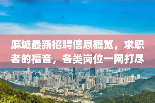 麻城最新招聘信息概覽，求職者的福音，各類崗位一網(wǎng)打盡