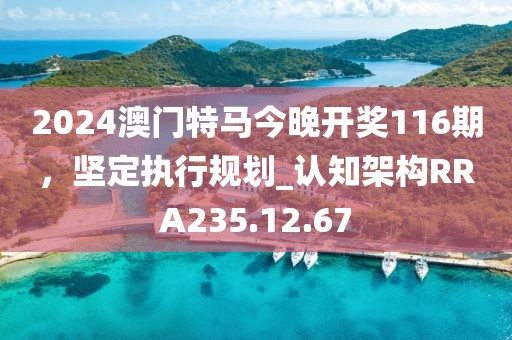 2024澳門特馬今晚開獎(jiǎng)116期，堅(jiān)定執(zhí)行規(guī)劃_認(rèn)知架構(gòu)RRA235.12.67
