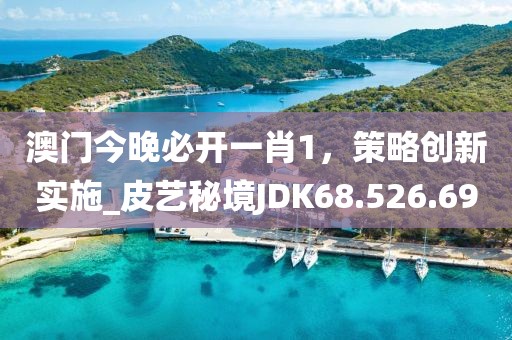 澳門今晚必開一肖1，策略創(chuàng)新實施_皮藝秘境JDK68.526.69