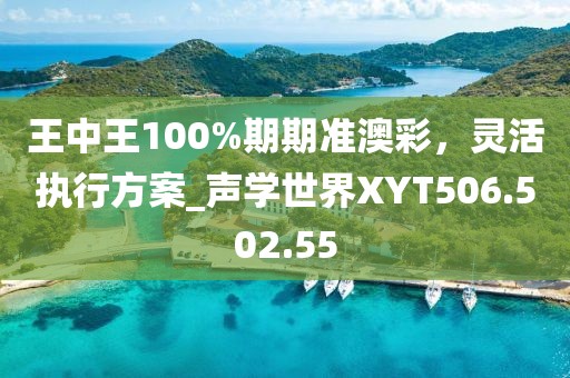 王中王100%期期準澳彩，靈活執(zhí)行方案_聲學世界XYT506.502.55