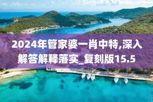 2024年管家婆一肖中特,深入解答解釋落實(shí)_復(fù)刻版15.5