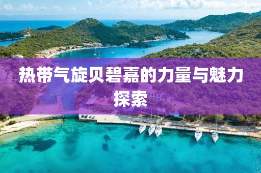 熱帶氣旋貝碧嘉的力量與魅力探索
