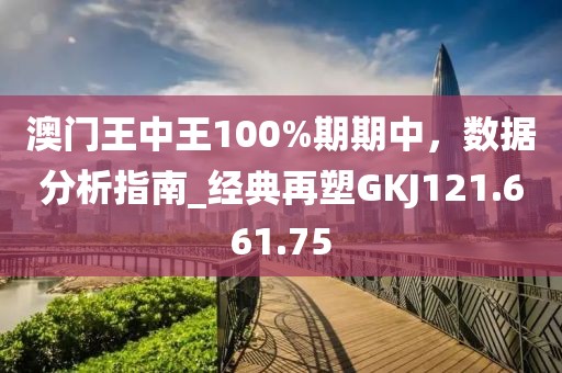 澳門王中王100%期期中，數(shù)據(jù)分析指南_經(jīng)典再塑GKJ121.661.75