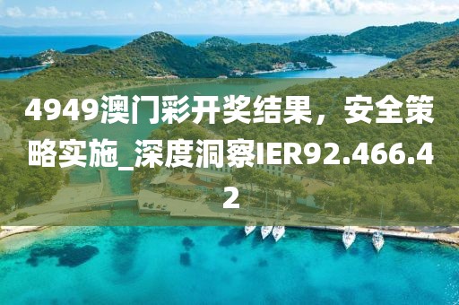 4949澳門彩開獎結果，安全策略實施_深度洞察IER92.466.42