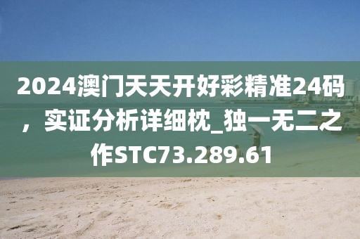 2024澳門天天開好彩精準24碼，實證分析詳細枕_獨一無二之作STC73.289.61