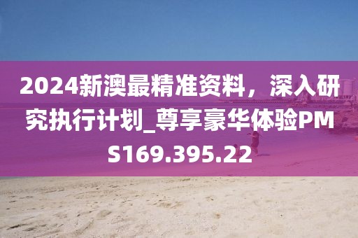 2024新澳最精準(zhǔn)資料，深入研究執(zhí)行計劃_尊享豪華體驗PMS169.395.22