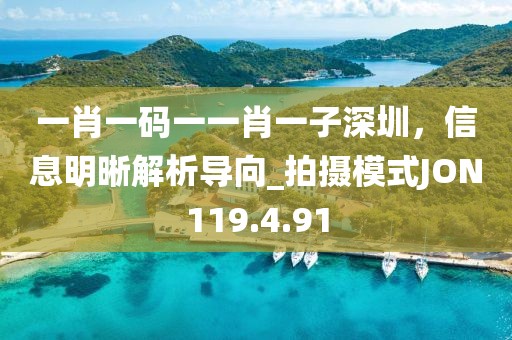 一肖一碼一一肖一子深圳，信息明晰解析導(dǎo)向_拍攝模式JON119.4.91