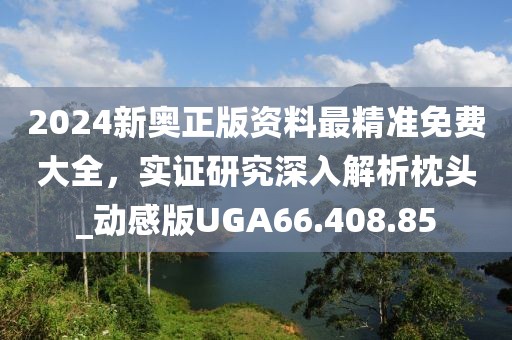 2024新奧正版資料最精準免費大全，實證研究深入解析枕頭_動感版UGA66.408.85