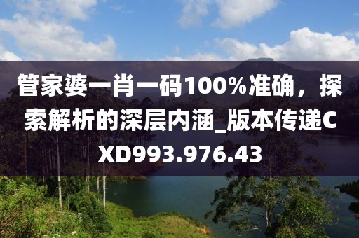 管家婆一肖一碼100%準(zhǔn)確，探索解析的深層內(nèi)涵_版本傳遞CXD993.976.43