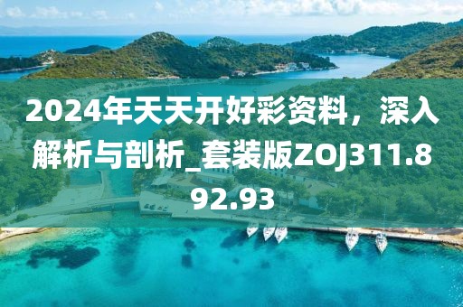 2024年天天開好彩資料，深入解析與剖析_套裝版ZOJ311.892.93