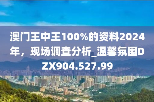 澳門王中王100%的資料2024年，現(xiàn)場調(diào)查分析_溫馨氛圍DZX904.527.99