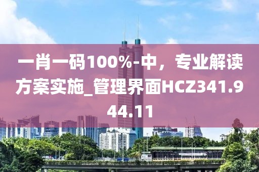 一肖一碼100%-中，專業(yè)解讀方案實施_管理界面HCZ341.944.11