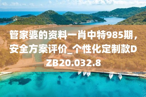 管家婆的資料一肖中特985期，安全方案評(píng)價(jià)_個(gè)性化定制款DZB20.032.8