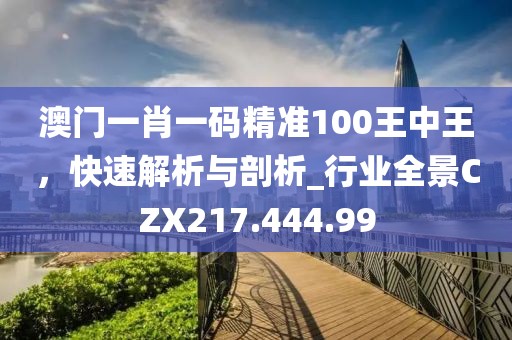 澳門一肖一碼精準100王中王，快速解析與剖析_行業(yè)全景CZX217.444.99
