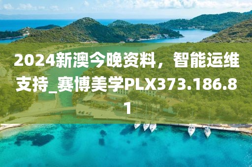 2024新澳今晚資料，智能運(yùn)維支持_賽博美學(xué)PLX373.186.81