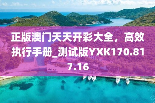 正版澳門天天開(kāi)彩大全，高效執(zhí)行手冊(cè)_測(cè)試版YXK170.817.16