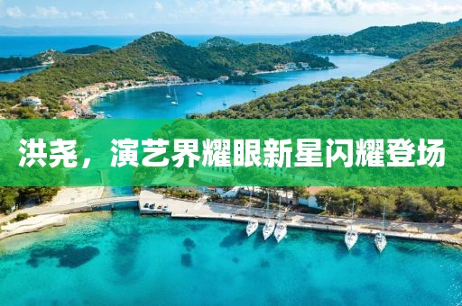 洪堯，演藝界耀眼新星閃耀登場(chǎng)
