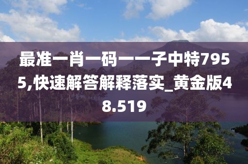最準(zhǔn)一肖一碼一一子中特7955,快速解答解釋落實(shí)_黃金版48.519