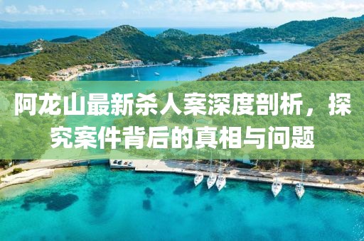 阿龍山最新殺人案深度剖析，探究案件背后的真相與問題
