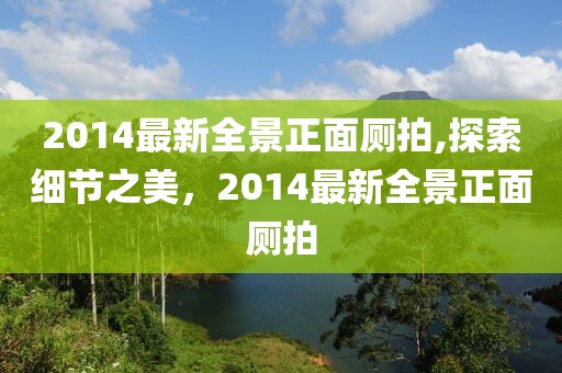 2014最新全景正面廁拍,探索細(xì)節(jié)之美，2014最新全景正面廁拍