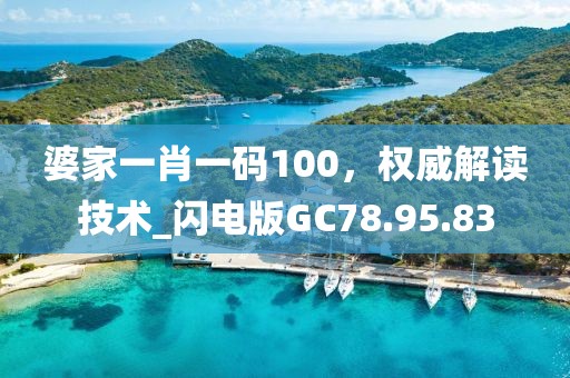 婆家一肖一碼100，權(quán)威解讀技術(shù)_閃電版GC78.95.83