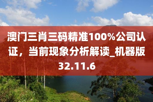 澳門三肖三碼精準(zhǔn)100%公司認(rèn)證，當(dāng)前現(xiàn)象分析解讀_機(jī)器版32.11.6