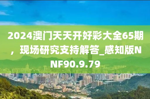 2024澳門天天開(kāi)好彩大全65期，現(xiàn)場(chǎng)研究支持解答_感知版NNF90.9.79
