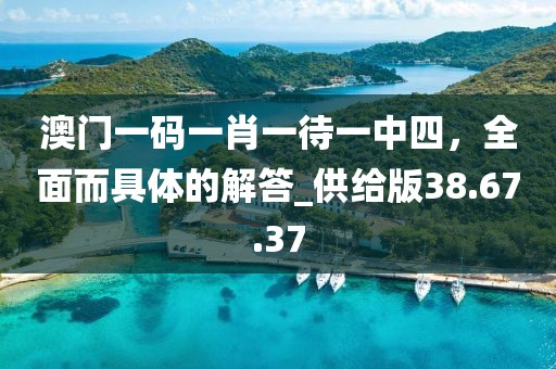澳門一碼一肖一待一中四，全面而具體的解答_供給版38.67.37