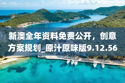 新澳全年資料免費(fèi)公開，創(chuàng)意方案規(guī)劃_原汁原味版9.12.56