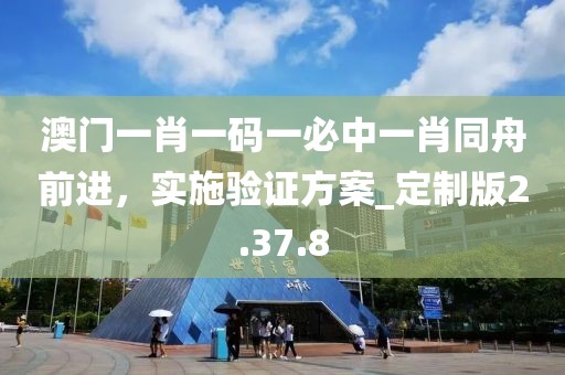 澳門一肖一碼一必中一肖同舟前進(jìn)，實(shí)施驗(yàn)證方案_定制版2.37.8