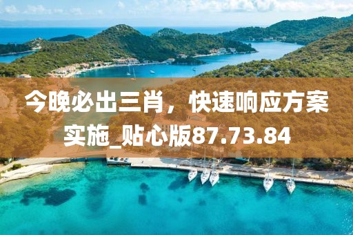 今晚必出三肖，快速響應(yīng)方案實(shí)施_貼心版87.73.84