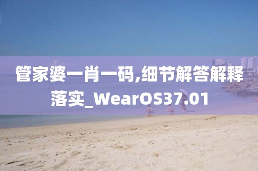 管家婆一肖一碼,細節(jié)解答解釋落實_WearOS37.01