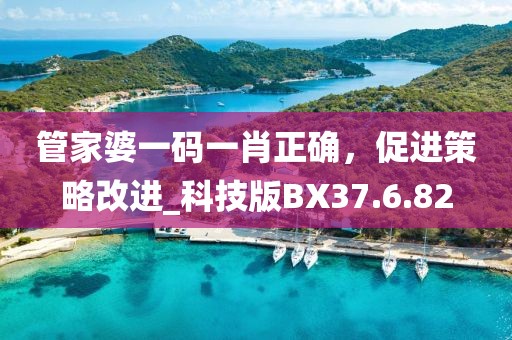 管家婆一碼一肖正確，促進(jìn)策略改進(jìn)_科技版BX37.6.82