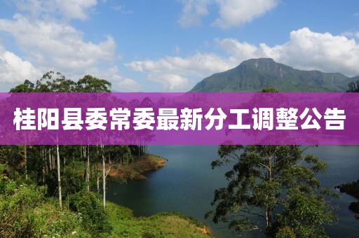 桂陽縣委常委最新分工調(diào)整公告