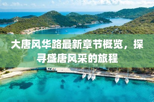 大唐風(fēng)華路最新章節(jié)概覽，探尋盛唐風(fēng)采的旅程