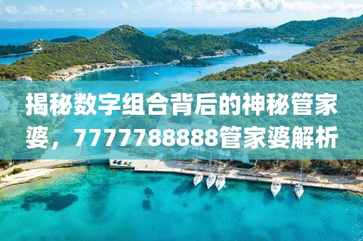 揭秘?cái)?shù)字組合背后的神秘管家婆，7777788888管家婆解析