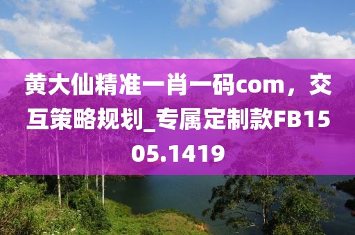黃大仙精準(zhǔn)一肖一碼com，交互策略規(guī)劃_專(zhuān)屬定制款FB1505.1419