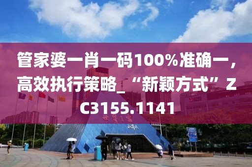 管家婆一肖一碼100%準(zhǔn)確一，高效執(zhí)行策略_“新穎方式”ZC3155.1141